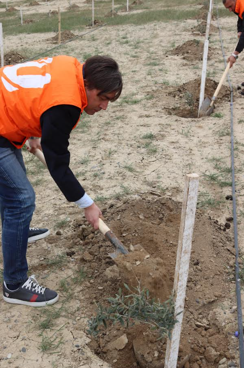 "Unibank" ağacəkmə aksiyasında iştirak edib - FOTOLAR